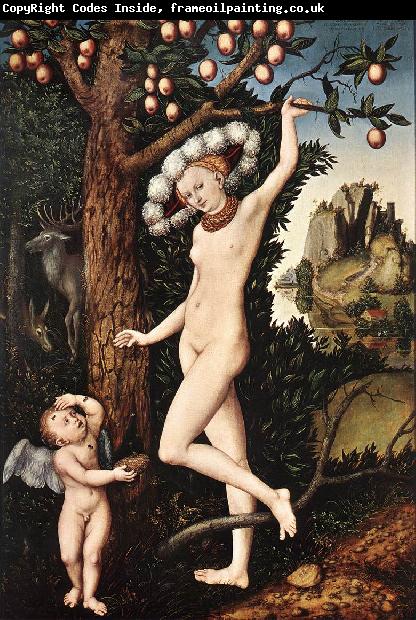 CRANACH, Lucas the Elder Cupid Complaining to Venus df